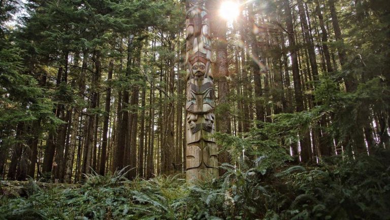 A totem pole stands in the dense green forest, seen during a Gulf of Alaska cruise.
