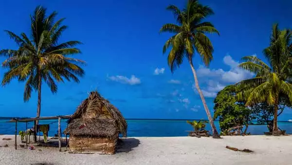 White-sand beach with palm trees & small thatch-roofed hut with snorkel gear drying in the sun during a Pacific Island vacation.