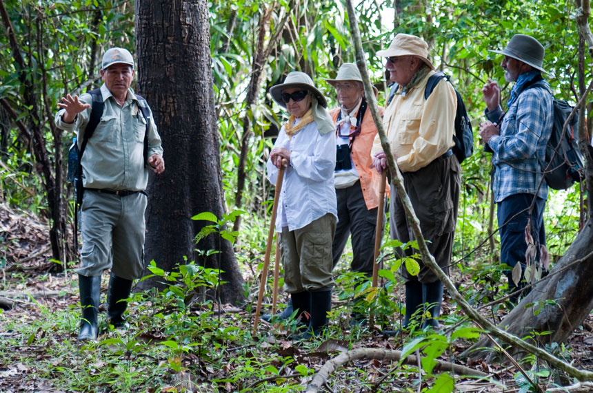 Amazon guide points out unique plant life on the jungle floor with guests looking on.