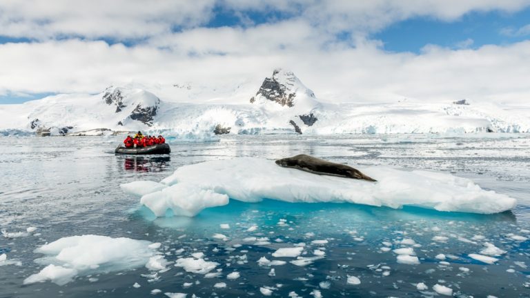 Antarctica travelers in red jackets sit in a Zodiac and observe a seal lounging on a small iceberg during an emperor penguin cruise.