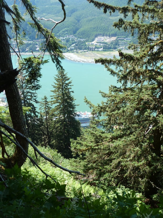 Hike up to Mt. Roberts with a view of a large cruise ship and city view below.