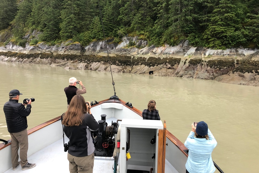 5 cruise guests stand on the bow of the Catslyst small ship photographing a black bear on the shore line of granite rock