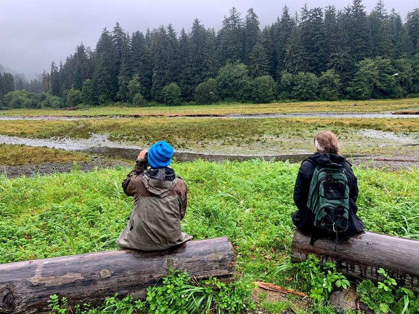During a shore excursion In Alaska two women sit on logs looking out into a lush green Pack Creek watching brown bears hunt the creek for salmon
