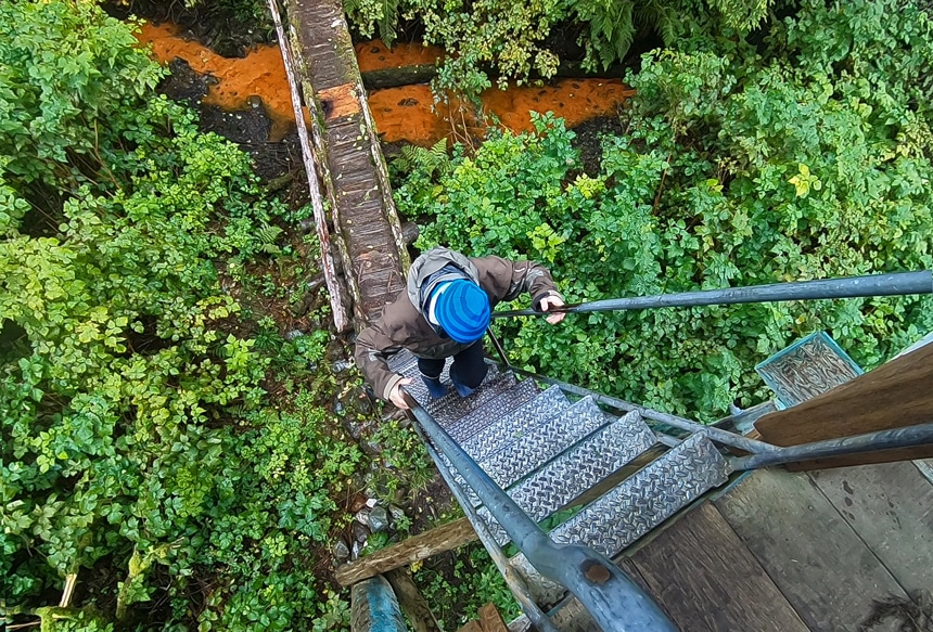 Looking down the ladder from inside an observation tower in Alaska, a female guests climbs up from a green lush forest floor. 