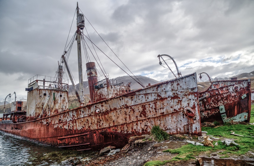 the bows of two old, rusted whaling ships stuck on the grass shore in grytviken, south georgia, antarctica