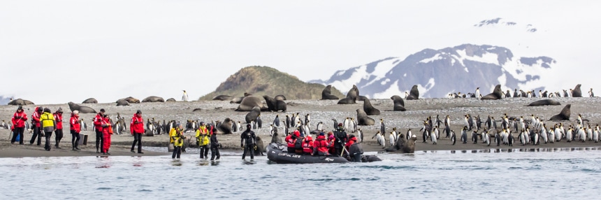 a group of people in a zodiak coming to shore while another group waits on the beach with penguins and fur seals close by