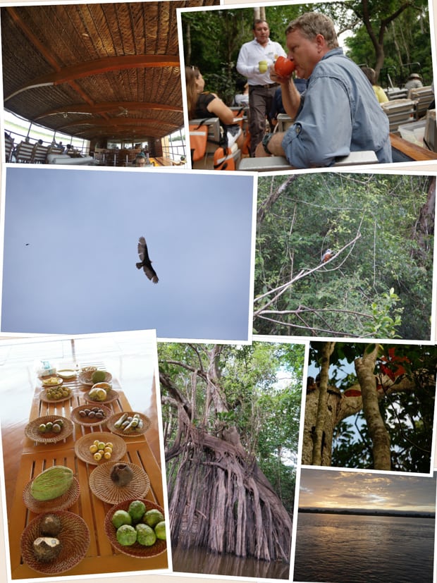 Collage of photos from a small ship cruise in the Amazon including the decks, birds, local foot, tree roots, and a sunset. 