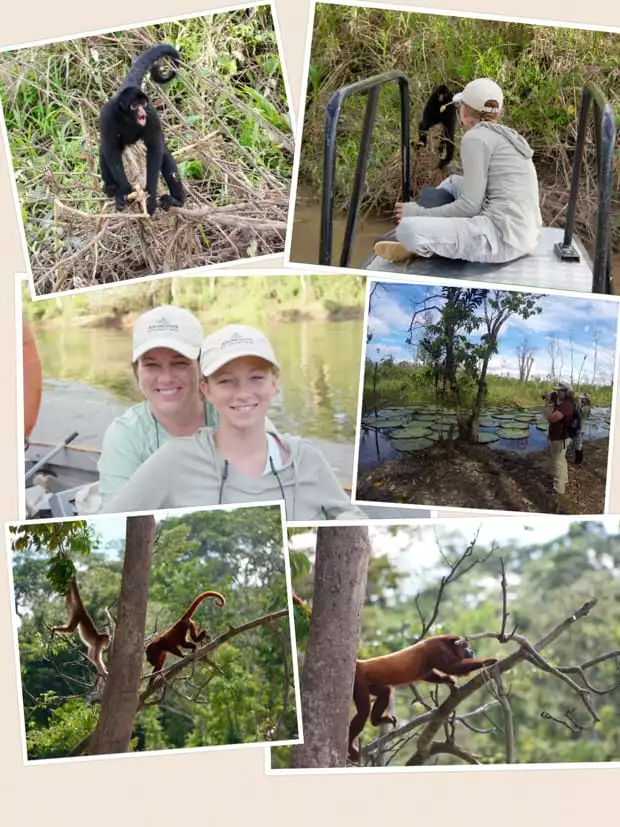 Collage of photos from a small ship cruise in the Amazon including monkeys, lily pads, and smiling people. 