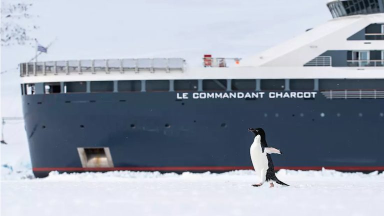 A single Adelie penguin marches across the snow in front of the Le Commandant Charcot ship as it is parked in the ice sheet