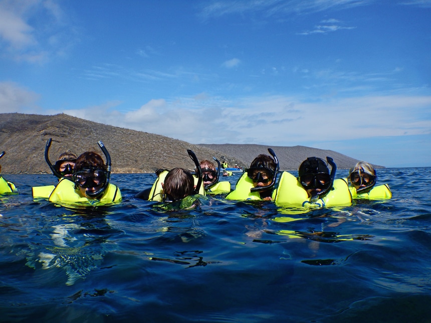 As a Galapagos activity a group of snorkelers float at the ocean surface wearing neon green life vests, masks and snorkels.