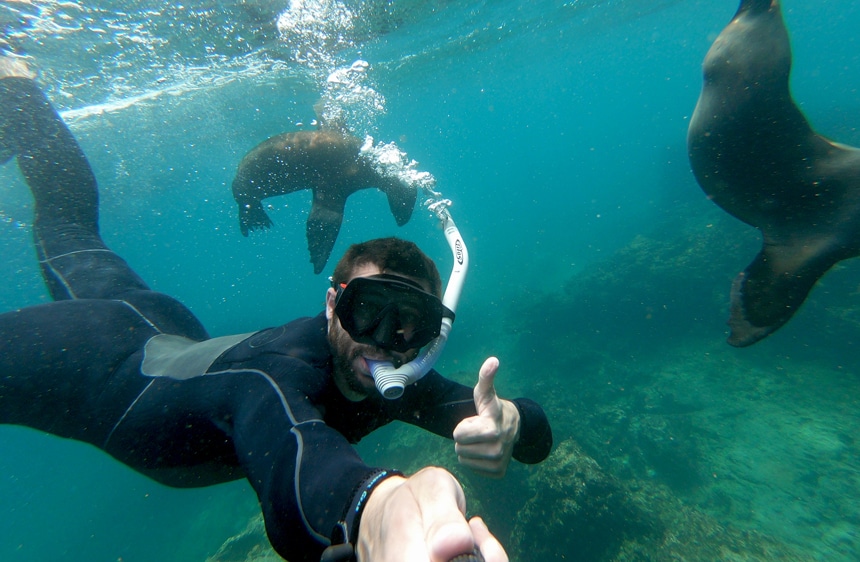 An underwater photo of a male wearing a black wetsuit and snorkel gear as he gives a thumbs up while swimming with two Galapagos seals.