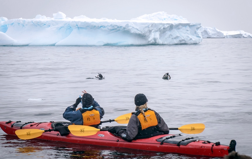 In front of floating ice bergs two guests wearing life jackets paddle a red double kayak but stop to take photos of penguins swimming on the ocean surface.
