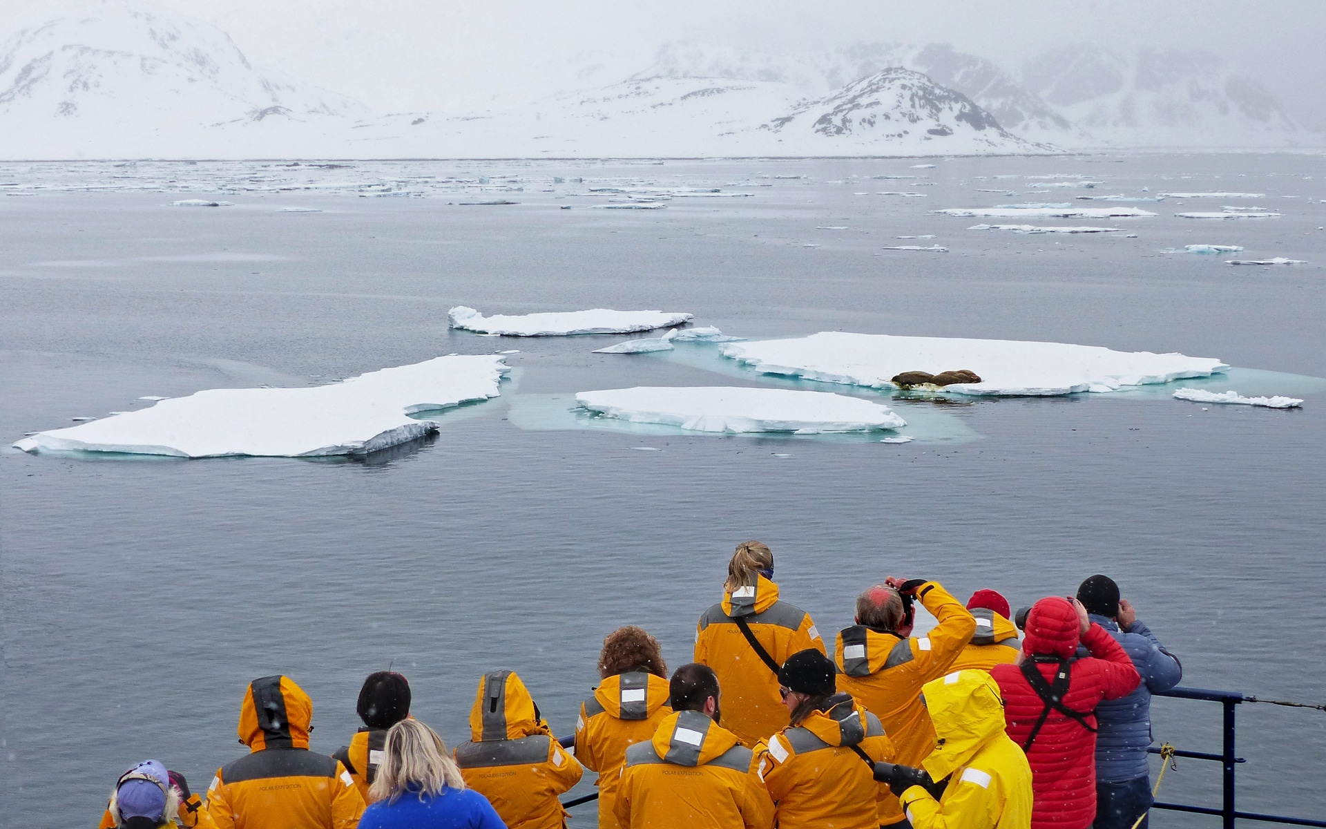 Introduction to Spitsbergen | Arctic Cruise Review | AdventureSmith