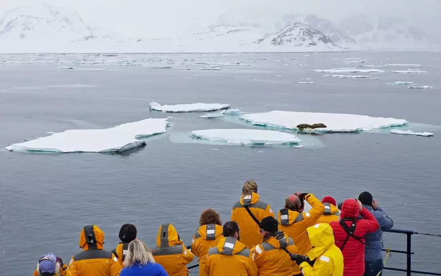 Arctic cruise passengers wearing yellow parkas gather on the top deck to take photos of walrus laying on floating ice bergs.