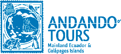 andando tours ecuador