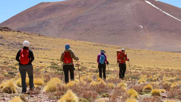 Guide leads 3 guests on a hike through high alpine desert on a sunny day during a Chile tour.