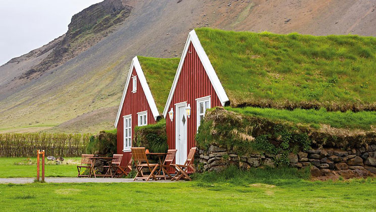 2 small red homes with grassy roofs sit side-by-side amidst bright green vineyards with a large hill behind, in Iceland.