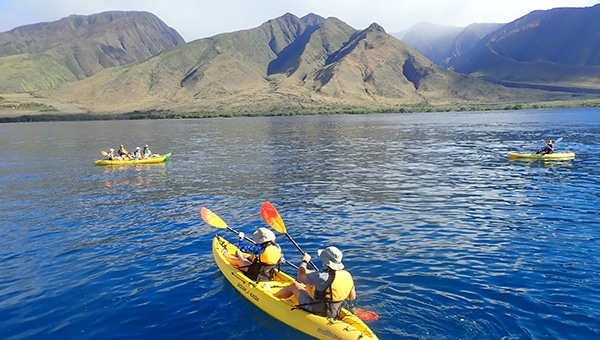 Three yellow kayaks paddle off the coast of Maui on a Hawaiian Islands cruise