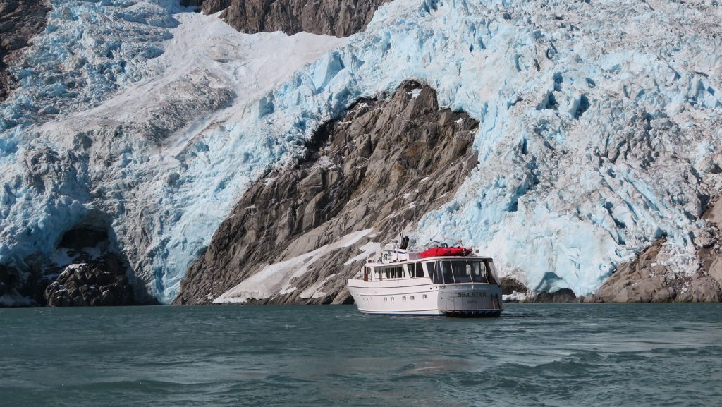 Small white wooden yacht idles in calm waters in front of a large blue & white glacier on a Kenai Fjords National Park cruise.
