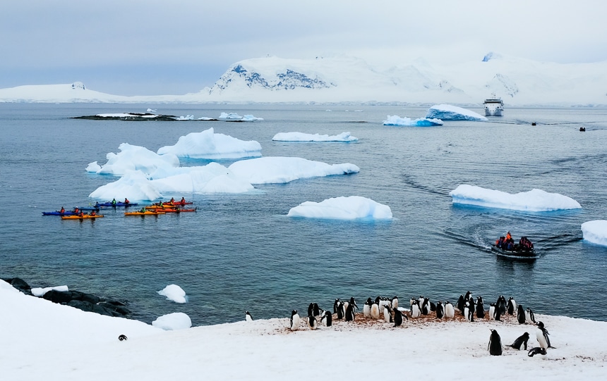 An Antarctic landscape of floating icebergs and a ship, guests riding an inflatable zodiac, a group of kayakers plus a group of penguins on a snowy shoreline.