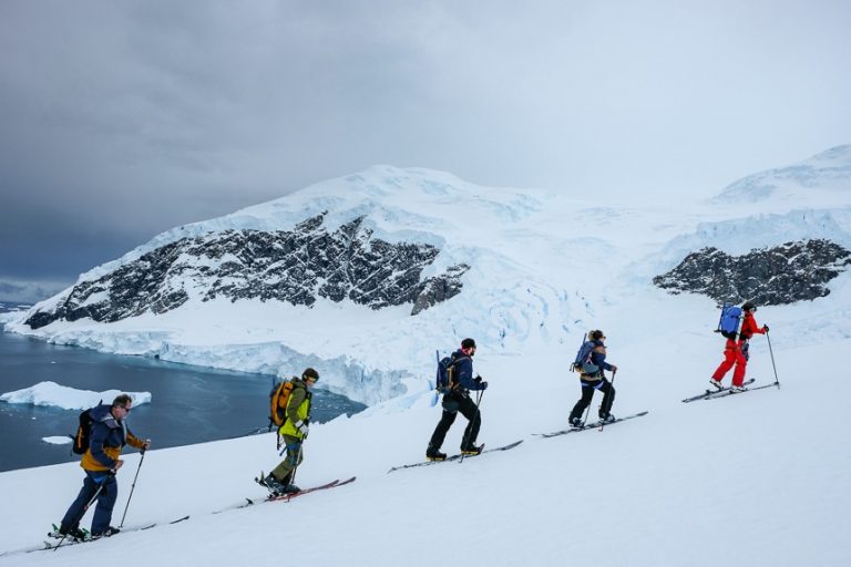 Best Antarctica Cruises & Cruise Lines - Why Each Shines