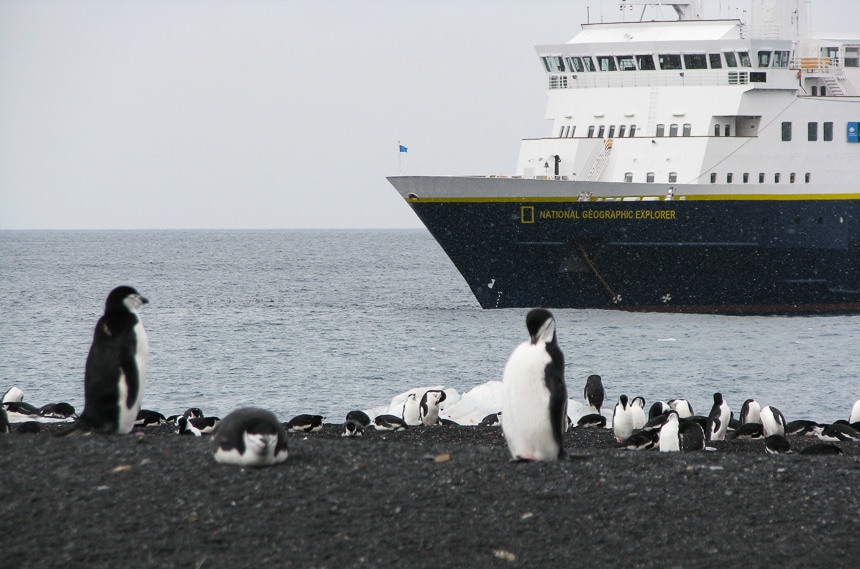 A group of white and black penguins rest on a rocky black beach white a National Geographic ship floats just offshore in Antarctica.