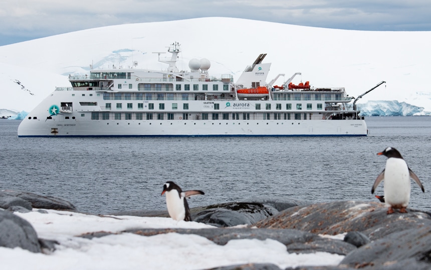 Two black and white penguins stand on shore as a futuristic and modern looking white Antarctica cruise ship navigates the ocean past them.