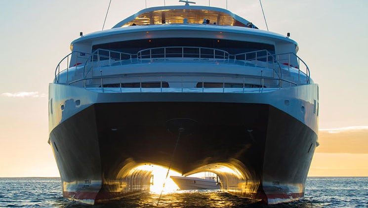 Bow of mega catamaran Elite with dark hull & white upper decks, sitting in calm water with sunset light shining underneath.