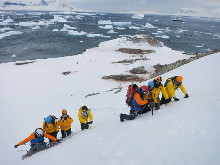 Group of polar travelers in bright yellow & orange jackets, harnesses & helmets works on climbing a snowfield with penguins & ocean in the background.