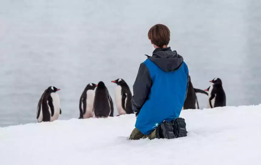 In Antarctica a male traveler wearing a blue parka kneels on the snow watching a group of black and white penguins with orange beaks.