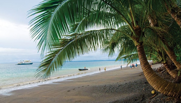 Palm trees on the shore of a sandy beach with a Belize small ship cruise ship anchored just off shore and travelers on the beach.