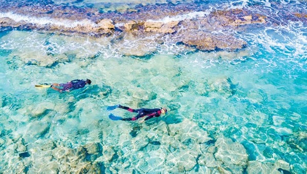 Two snorkelers in wetsuits swim in the Caribbean Sea turquoise water near coral on a Belize snorkeling cruise.