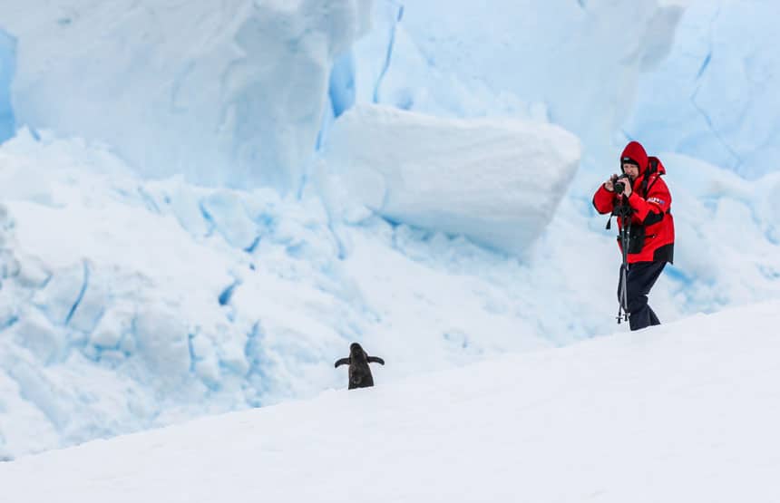 An Antarctica traveler in a red parka holds a camera to take a photo of a small solo black penguin standing on the snow in front of them. 