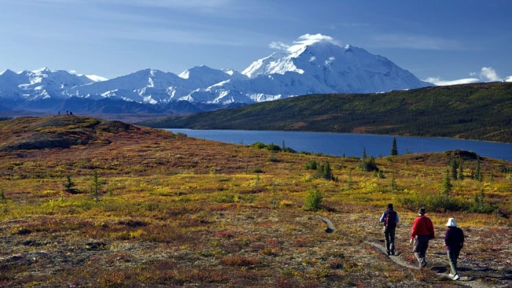 Three hikers walk down a small path toward a lake with snow-covered Denali mountain in the background