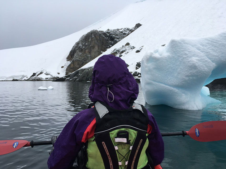 View from behind a kayaker in a purple jacket with hood on, in green PFD , holding a red paddle while floating in calm water beside a blue iceberg in Antarctica.