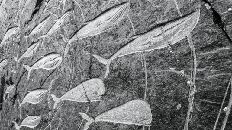 Petroglyphs of whales carved in gray stone, seen during the Iceland's Wild West Coast to East Greenland Cruise.