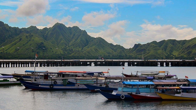 Long, narrow, open-air boats with colorful fabric tops sit in a line within calm water, with bright green mountains behind.