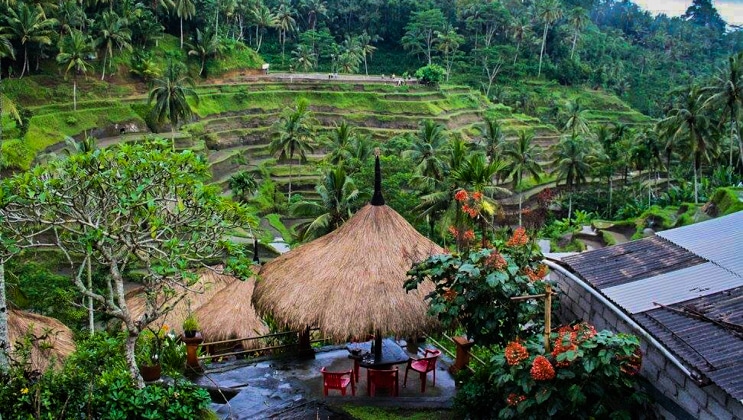 Aerial view of a small patio under a thatch cabana overlooking a lush green terraced hillside in Ubud, Indonesia.
