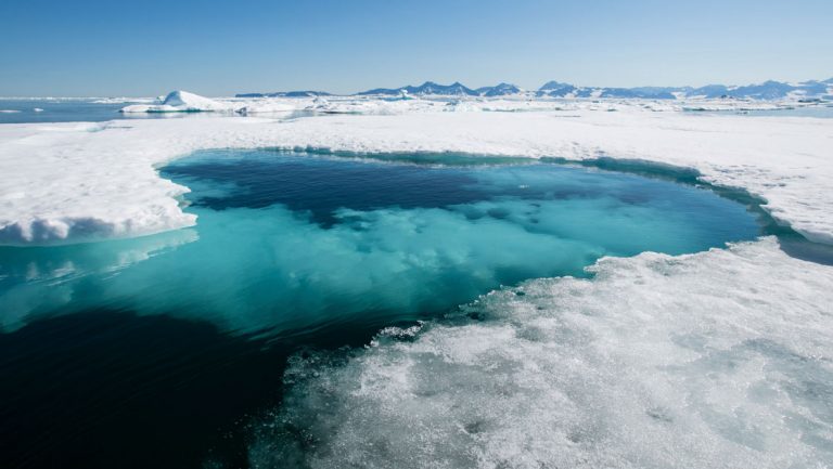 Icy arctic water with turquoise ice below seen on a sunny day during cruises to Iceland and Greenland.