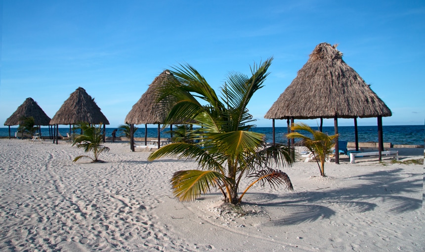 On a blue sky sunny day in Belize 4 ocean front thatched roof cabanas create shade over lounge chairs and tables on the sandy beach in Belize. 