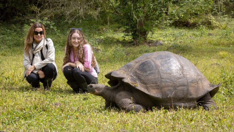While cruising the Galapagos isles on the Aqua Mare Galapagos Cruise you will visit the highlands and see the giant tortoises