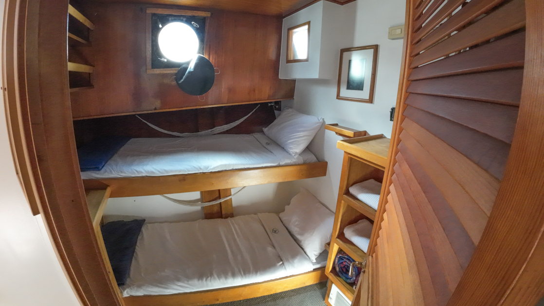 Cabin aboard Snow Goose Alaska ship with 2 twin bunks, porthole, wood shelves & white walls.