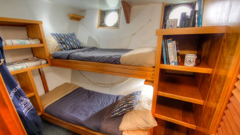 Cabin aboard Snow Goose Alaska ship with 2 twin bunks, 2 portholes, wood shelves & white walls.