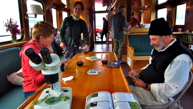 Guests sit at a wooden table, drink wine & play cards beside a microscope and field guide on Snow Goose yacht in Alaska.