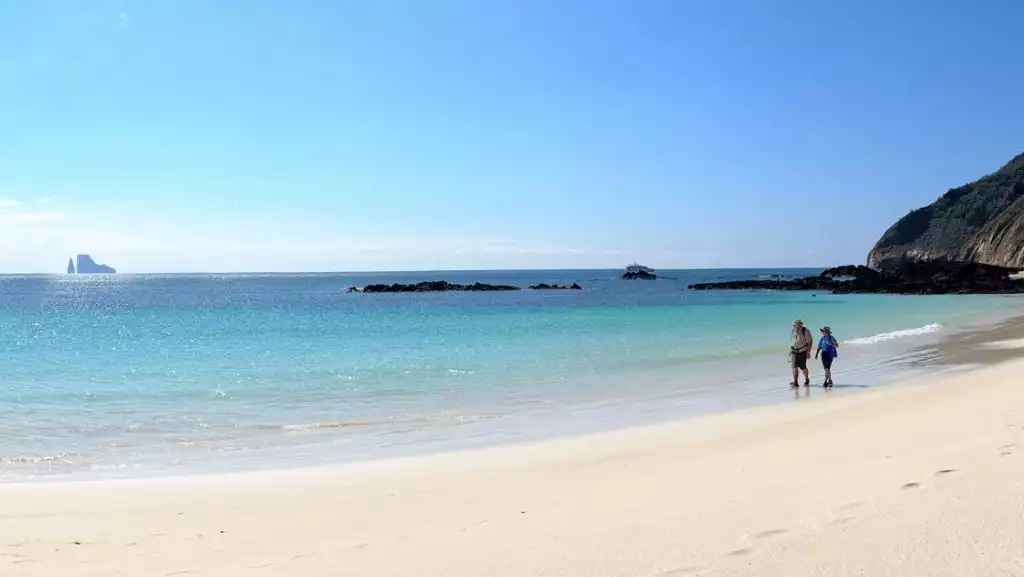 2 travelers walk on an empty white-sand beach beside turquoise sea with volcanic rocks behind on a sunny day during the Calipso Galapagos Cruise.