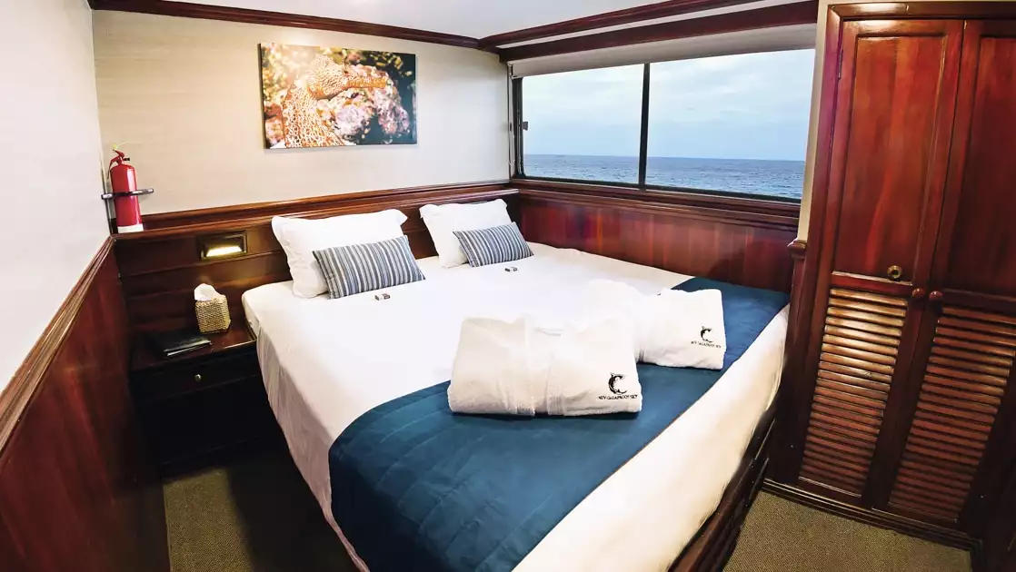 Master cabin with king bed on mv Galapagos Sky, with dark wood accents & closet, bedside table, carpet & view windows.