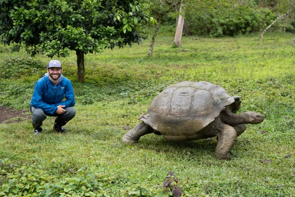 A male traveler on a Galapagos trip poses next to a walking giant tortoise that's as large as he is.