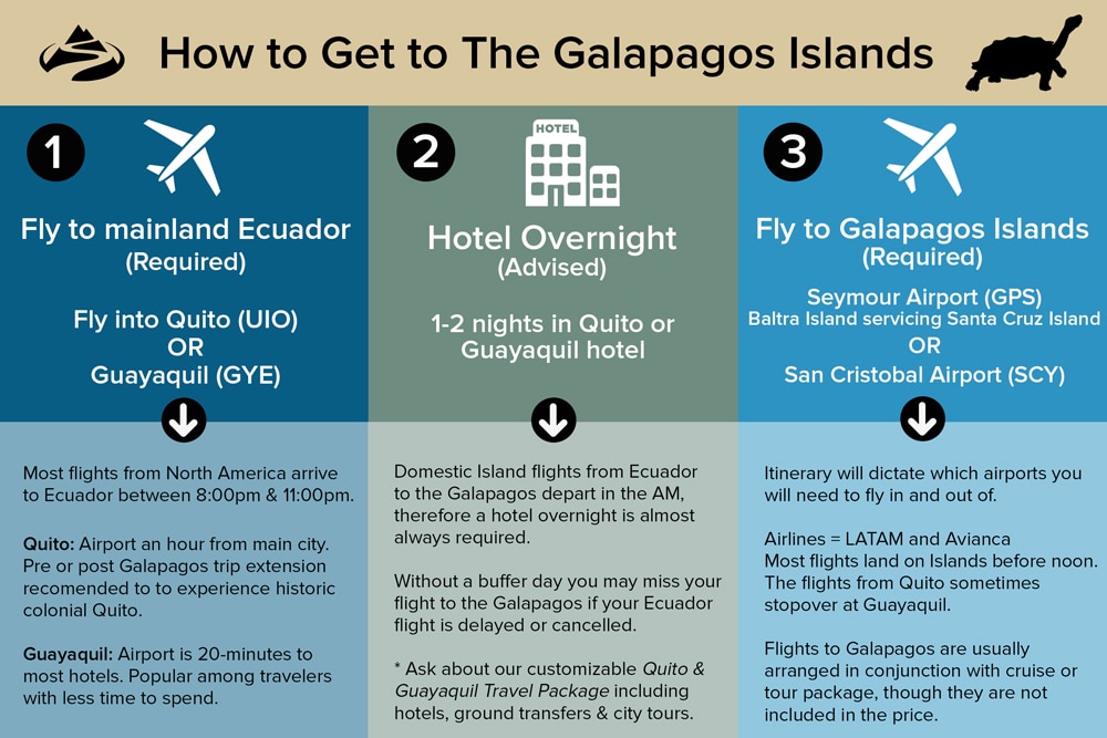 Infographic detailing the three steps about how to get to the Galapagos Islands. 1. Fly to Ecuador 2. Stay in hotel 3. Fly to the Galapagos Islands