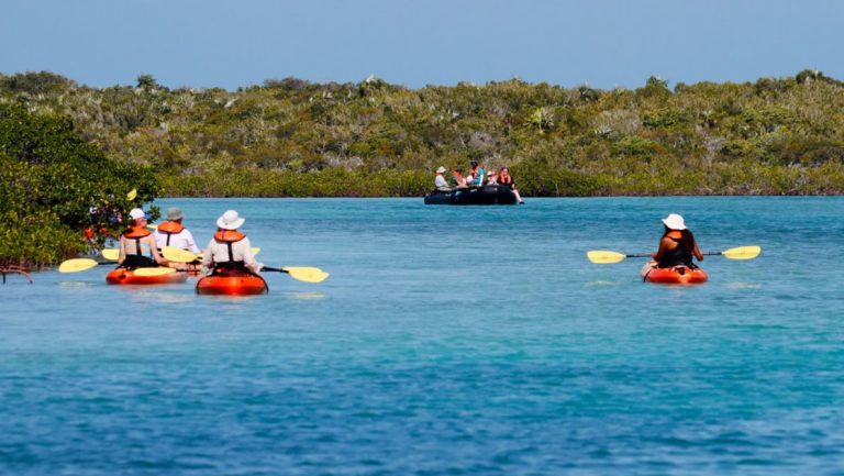 Travelers paddle kayaks in turquoise water beside green mangroves during a sunny Bahamas small ship cruise in the Out Islands.