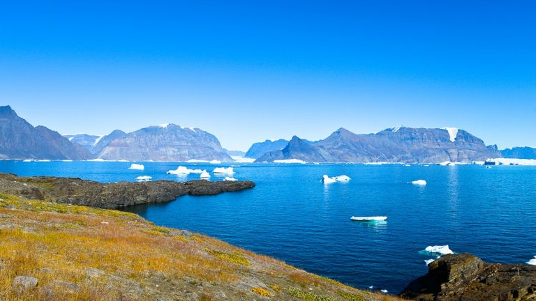 A bright blue sky day in Greenland, down one of its many fjords of blue ocean, white floating icebergs and lush colorful coastline